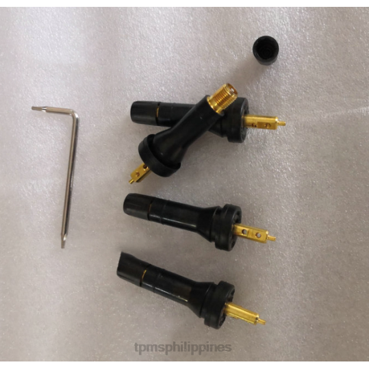 TPMS Motorcycle Tire Pressure 2XXF41257 - TPMS Rongwei Tire Pressure Sensor 10718213